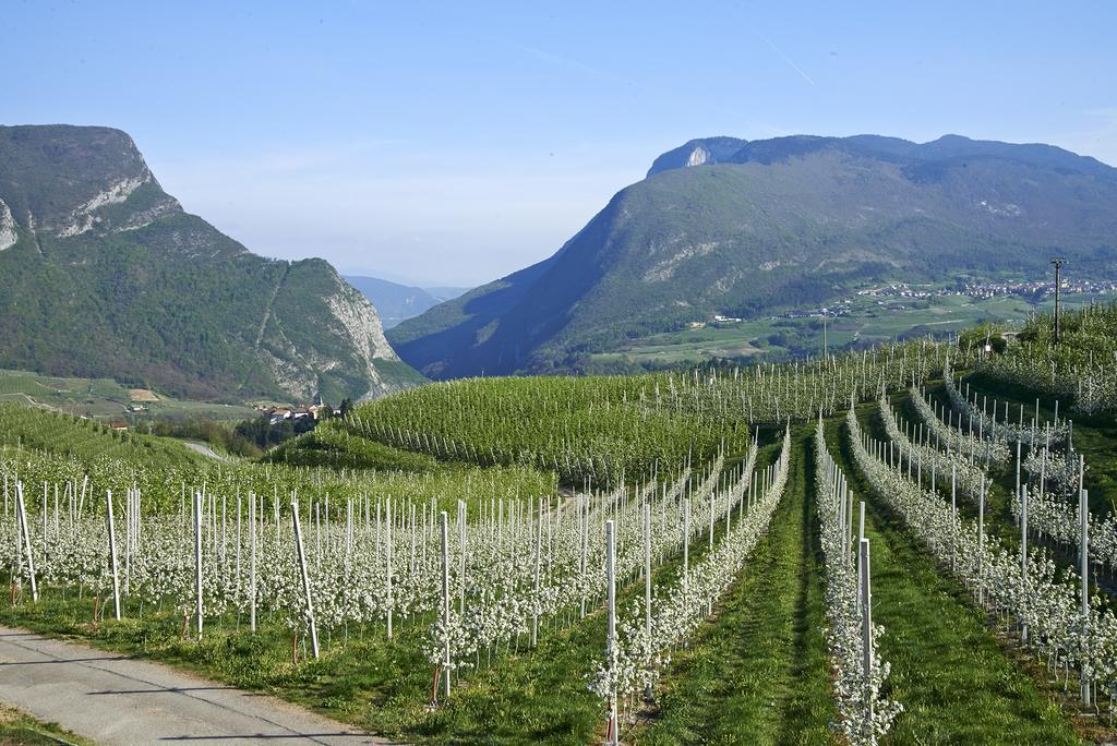 San Michele allʼAdige B&B La Casa Del Sole المظهر الخارجي الصورة