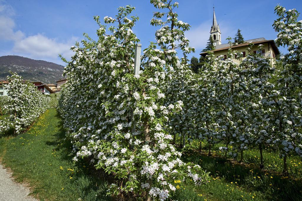 San Michele allʼAdige B&B La Casa Del Sole المظهر الخارجي الصورة